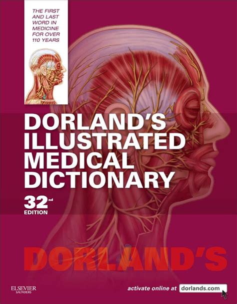 dorland's dictionary|More.